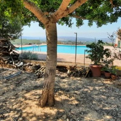 CASA O CHALET INDEPENDIENTE EN CARCER